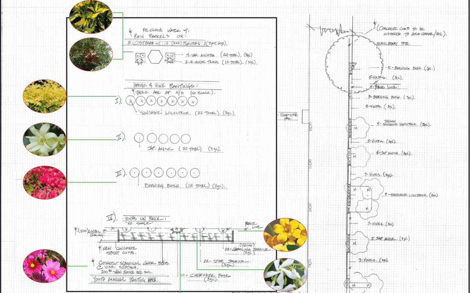 Landscaping plan for Jackson Place Peace Garden showing planting zones, flora placement, and design direction